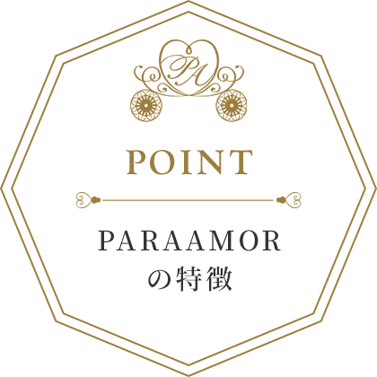 PARAAMOR<br />
の特徴